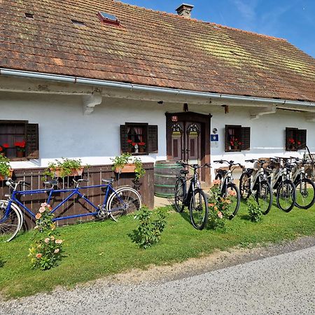 Homestay Kapl Ledinek Exterior photo