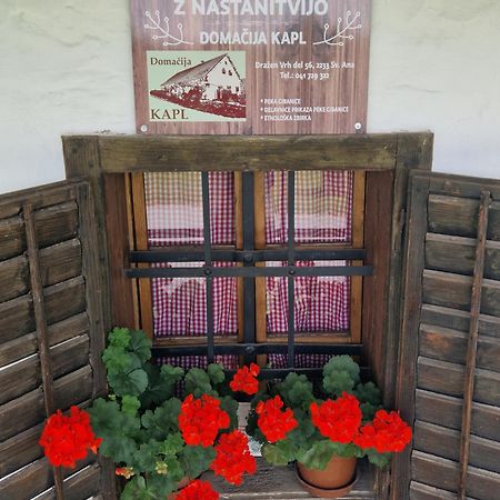 Homestay Kapl Ledinek Exterior photo