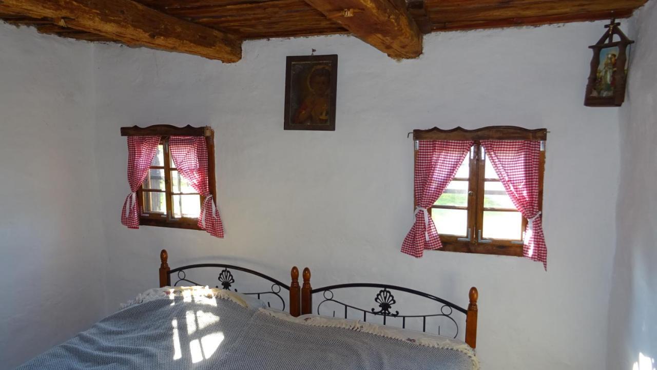 Homestay Kapl Ledinek Exterior photo