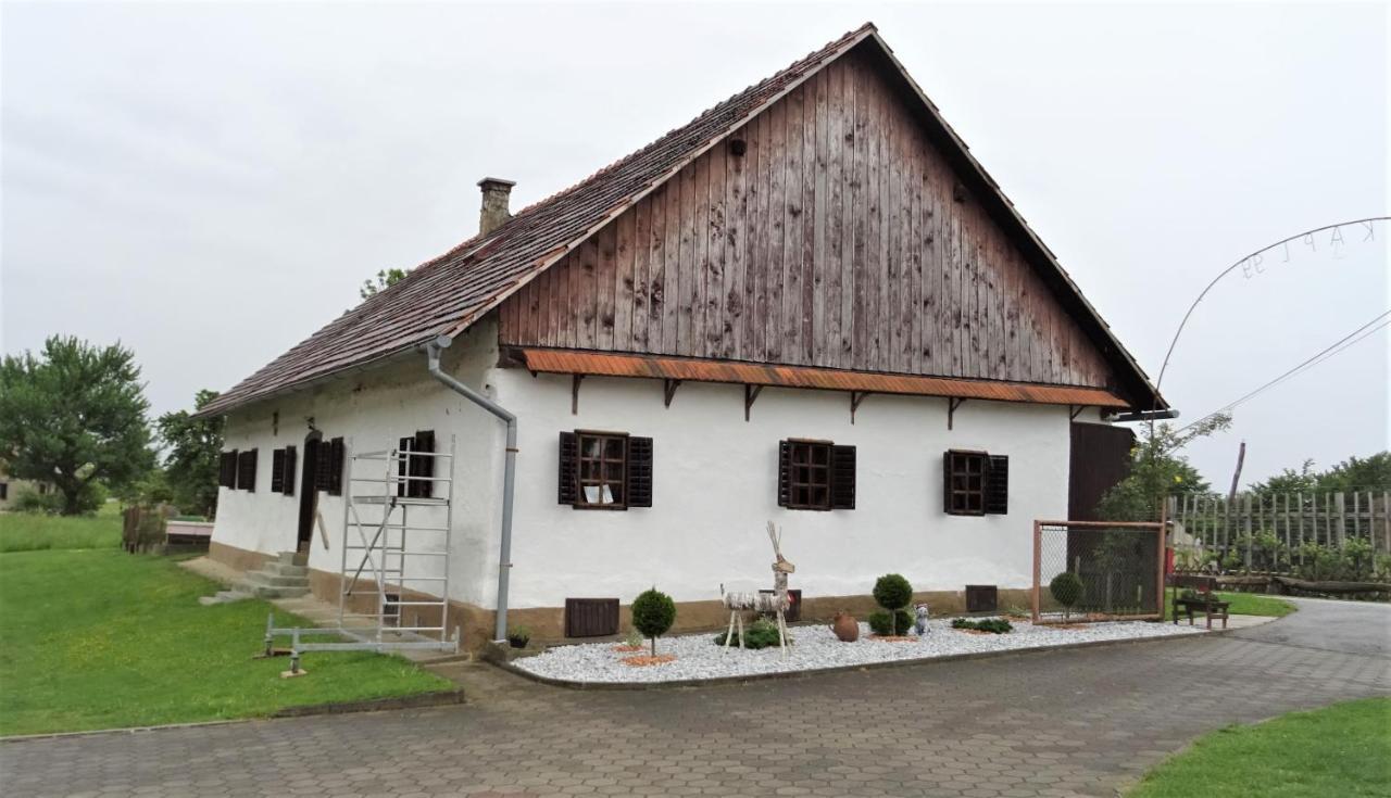 Homestay Kapl Ledinek Exterior photo