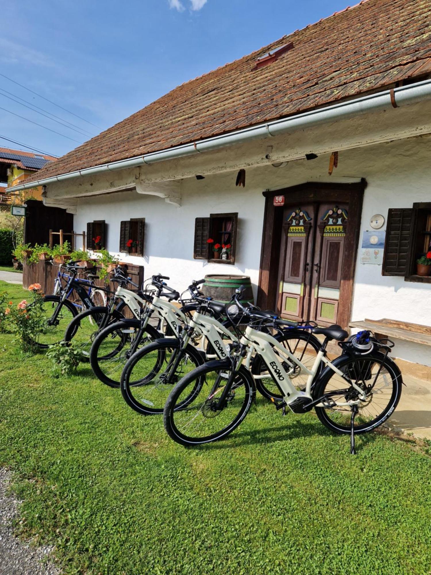 Homestay Kapl Ledinek Exterior photo