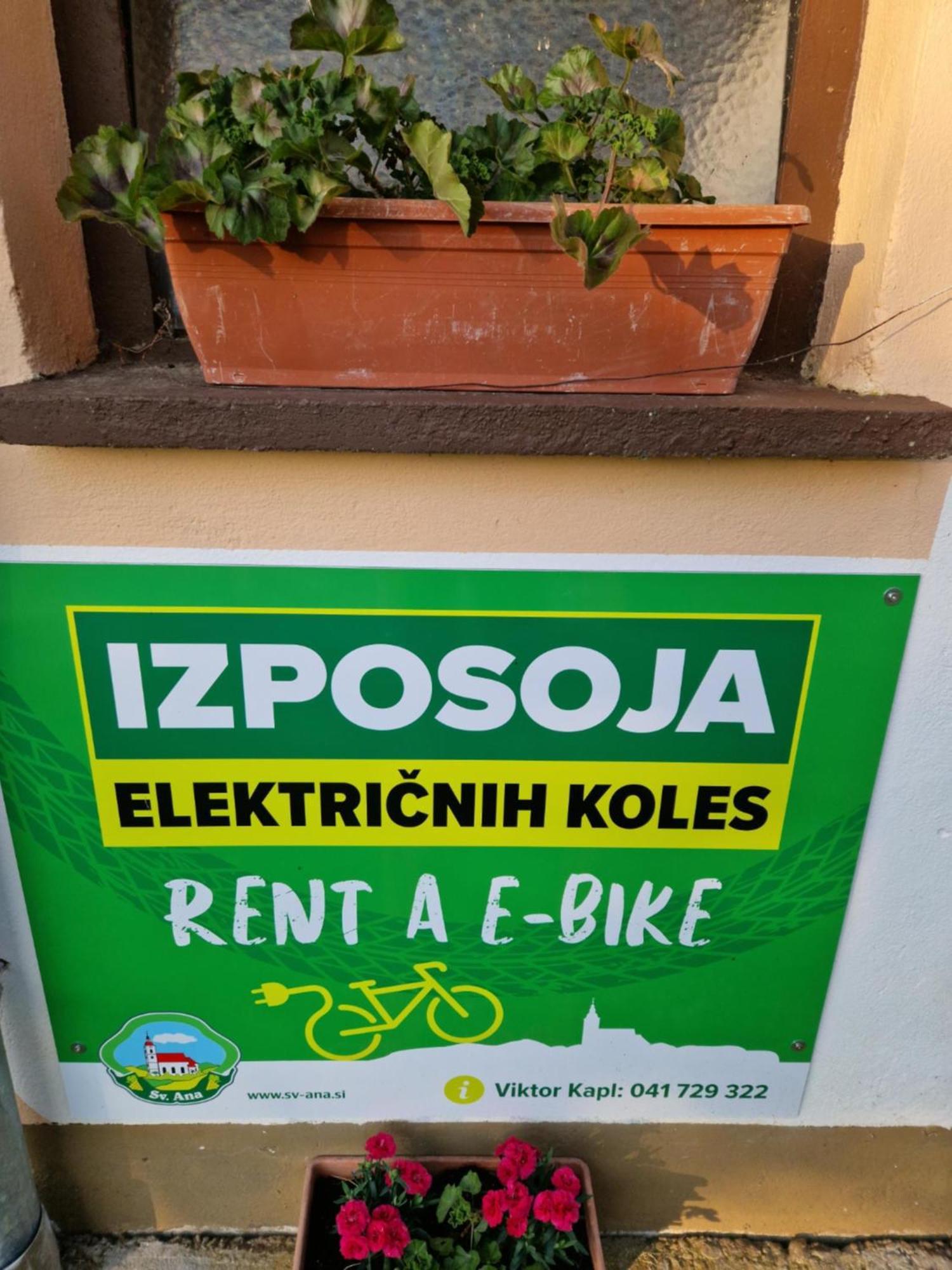 Homestay Kapl Ledinek Exterior photo