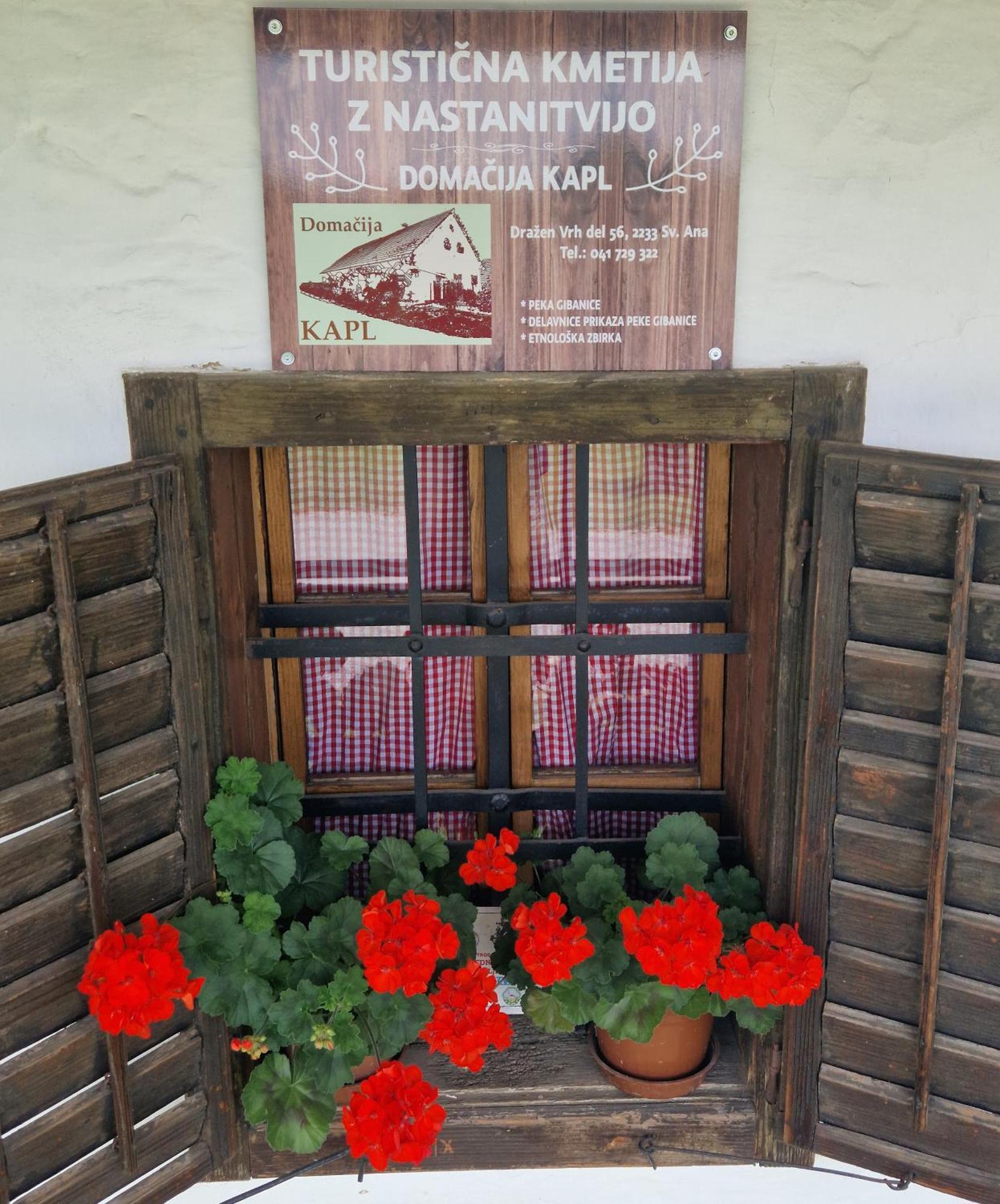 Homestay Kapl Ledinek Exterior photo