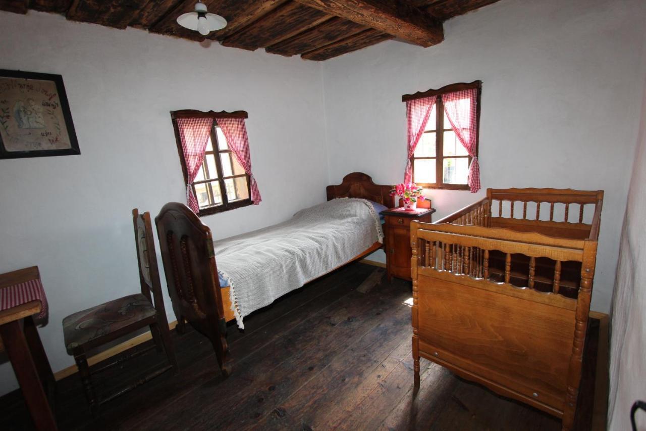Homestay Kapl Ledinek Exterior photo