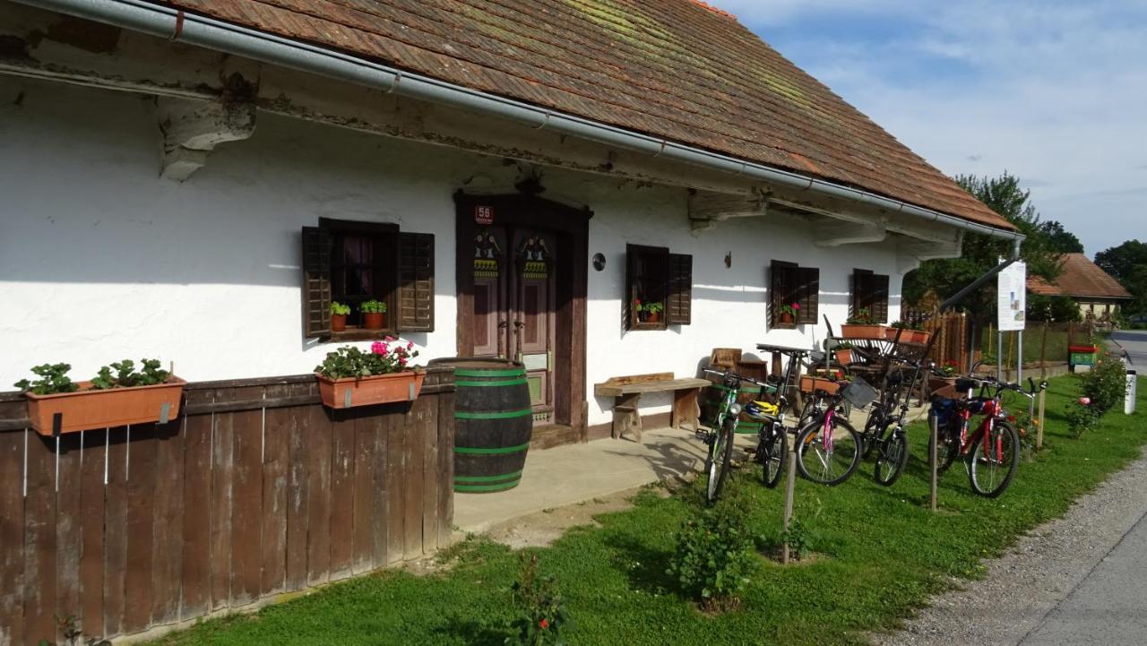 Homestay Kapl Ledinek Exterior photo