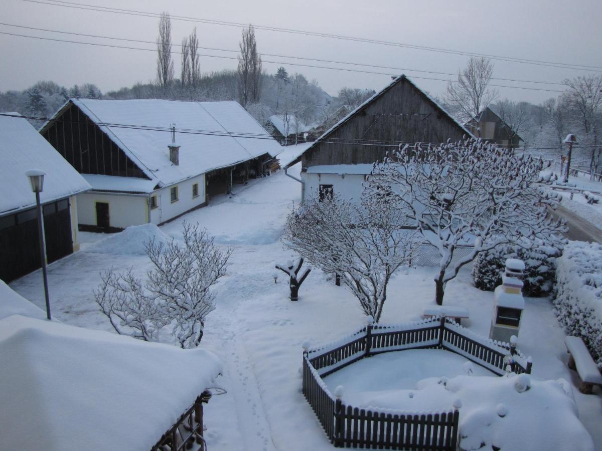 Homestay Kapl Ledinek Exterior photo